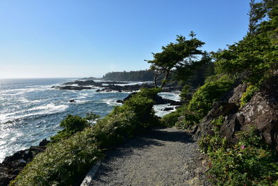 Scenic view of sea against clear sky