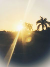 Sun shining through silhouette trees during sunset