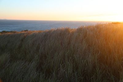 Scenic view of landscape against sky at sunset