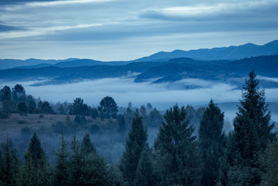 Scenic view of forest and mountains against sky