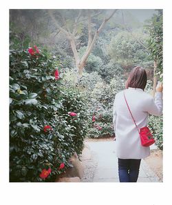 Rear view of woman with umbrella