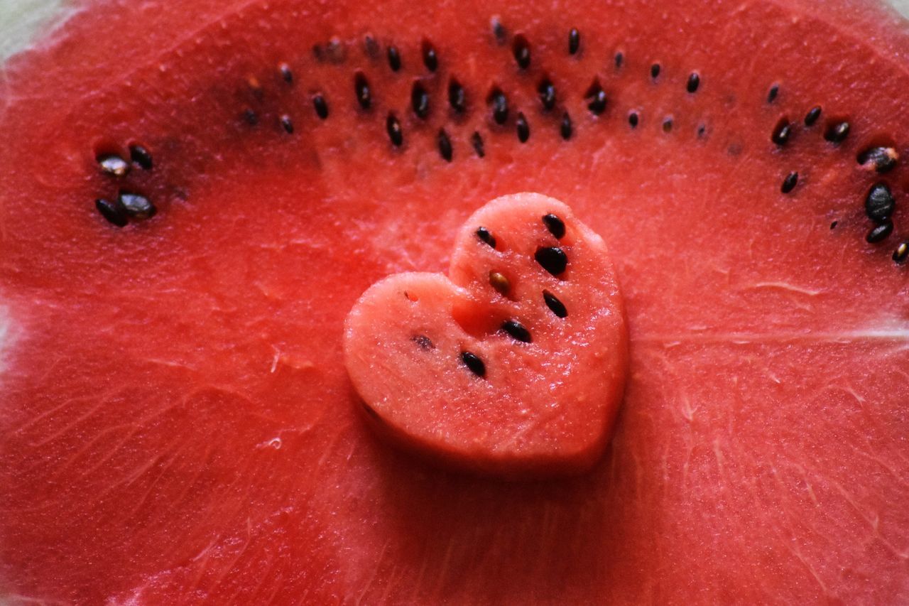 melon, red, plant, fruit, produce, food, watermelon, food and drink, close-up, macro photography, flower, healthy eating, seed, wellbeing, no people, slice, cross section, pink, freshness, indoors