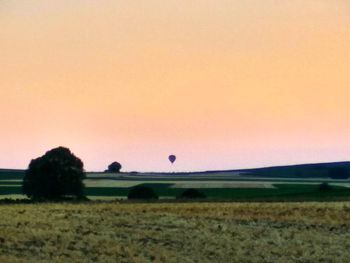 Scenic view of field against clear sky during sunset