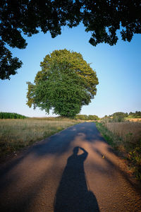 Shadow of man on road amidst trees