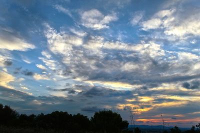 Low angle view of silhouette trees against sky during sunset