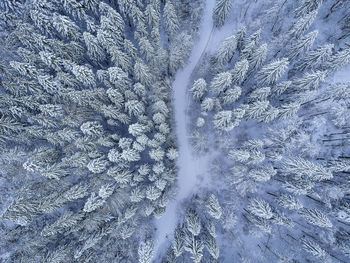 Full frame shot of snow covered land