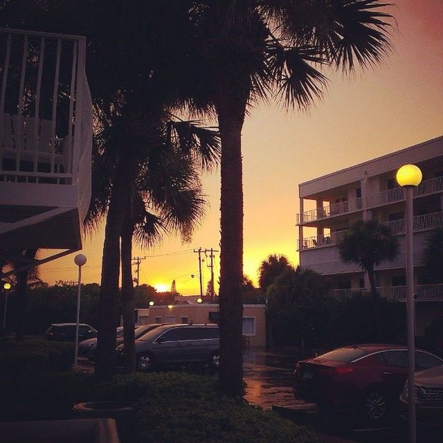 sunset, building exterior, palm tree, tree, built structure, architecture, street light, sky, illuminated, silhouette, orange color, street, tree trunk, city, outdoors, house, lighting equipment, car, low angle view, dusk