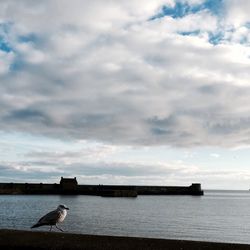 Scenic view of sea against cloudy sky
