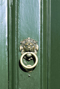 Door knocker on green wooden door
