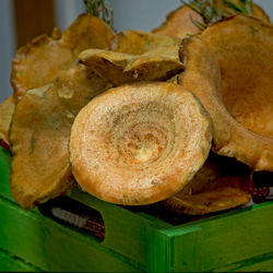 Close-up of saffron milk cap mushrooms in green crate