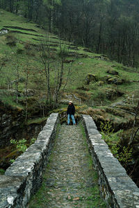 Rear view of woman on footpath in forest