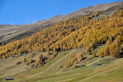 Scenic view of landscape against clear sky