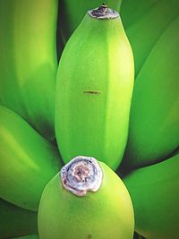 Full frame shot of green leaf