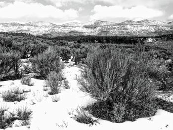 Scenic view of snowcapped mountains against sky