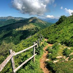 Landscape with mountain range in background