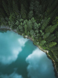 High angle view of waterfall in forest