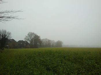 Scenic view of field against sky during foggy weather