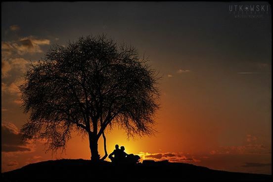 silhouette, sunset, sky, beauty in nature, tranquil scene, tree, tranquility, scenics, men, orange color, lifestyles, nature, leisure activity, outline, cloud - sky, idyllic, unrecognizable person