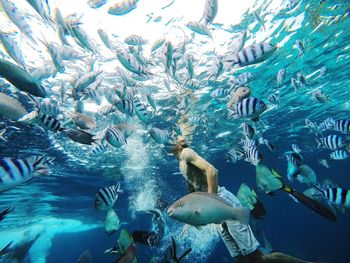 Midsection of man swimming with fish in sea