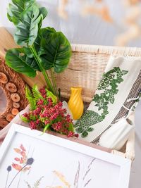 High angle view of potted plant on table