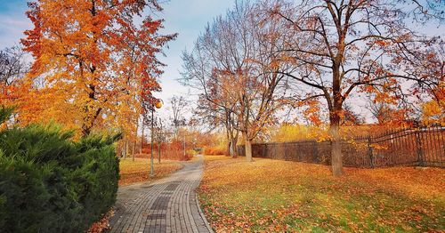 Road amidst trees during autumn against sky