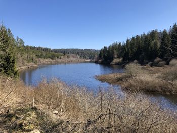 Scenic view of lake against clear blue sky