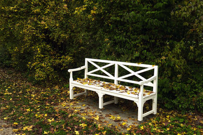 Empty bench on table in park during autumn
