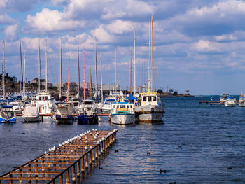 Sailboats moored in harbor against sky