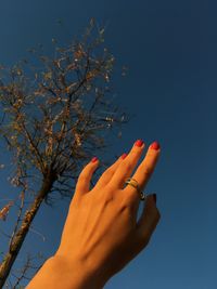 Female hand with a ring on index finger against the blue skies with a tree on the background