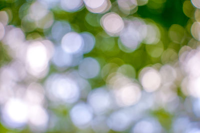 Full frame shot of defocused lights