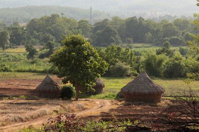 Scenic view of agricultural field against sky