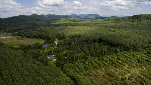 High angle view of trees on field against sky