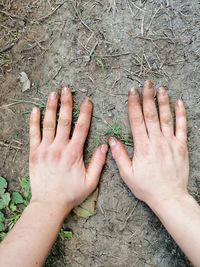 Cropped image of person hand on land