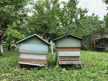 Wooden hut amidst trees on field