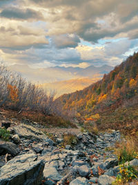 Scenic view of landscape against sky during autumn