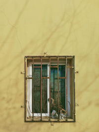 Closed window of old building