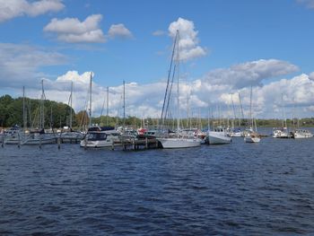 Sailboats moored in marina