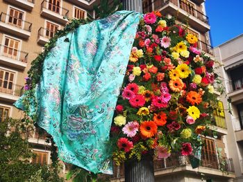 Low angle view of flowering plants against building