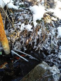 High angle view of snow covered field