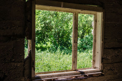 Trees seen through window of abandoned house