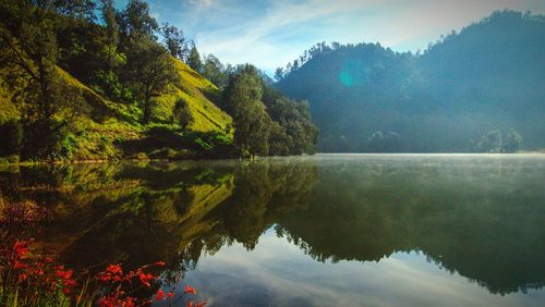 Reflection of trees in lake against sky