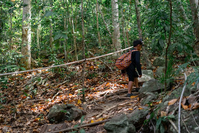 Rear view of boy walking in forest