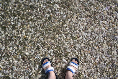 Low section of person standing on sand