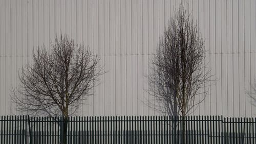 Fence with trees in background