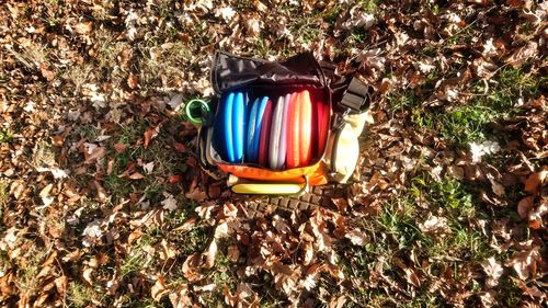 Close-up of multi colored container