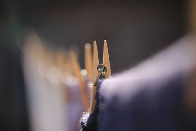 Close-up of clothespin on clothing