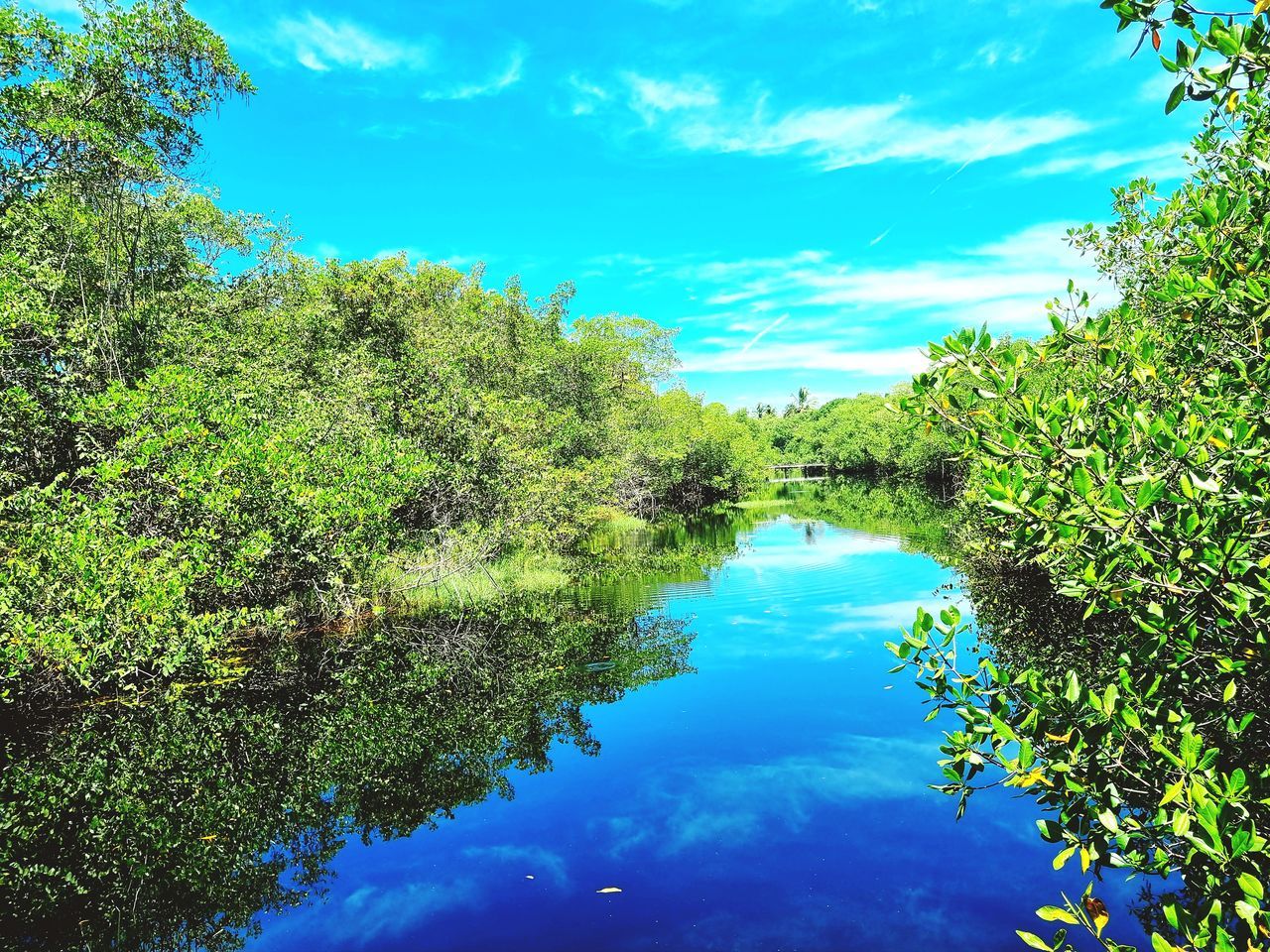 water, plant, tree, sky, nature, beauty in nature, body of water, tranquility, scenics - nature, blue, reflection, green, lake, tranquil scene, cloud, no people, natural environment, day, vegetation, growth, environment, outdoors, forest, non-urban scene, landscape, land, idyllic, flower, travel destinations, foliage, meadow, lush foliage
