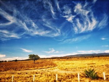 Scenic view of field against blue sky