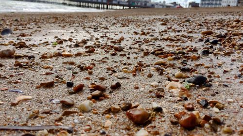 Surface level of pebbles