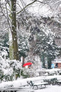 Snow covered trees during winter